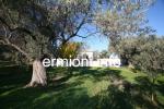 GL 0174 - Ranger's Lodge - Flamboura - Kranidi 